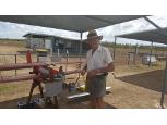 Maryborough Model Aero Club